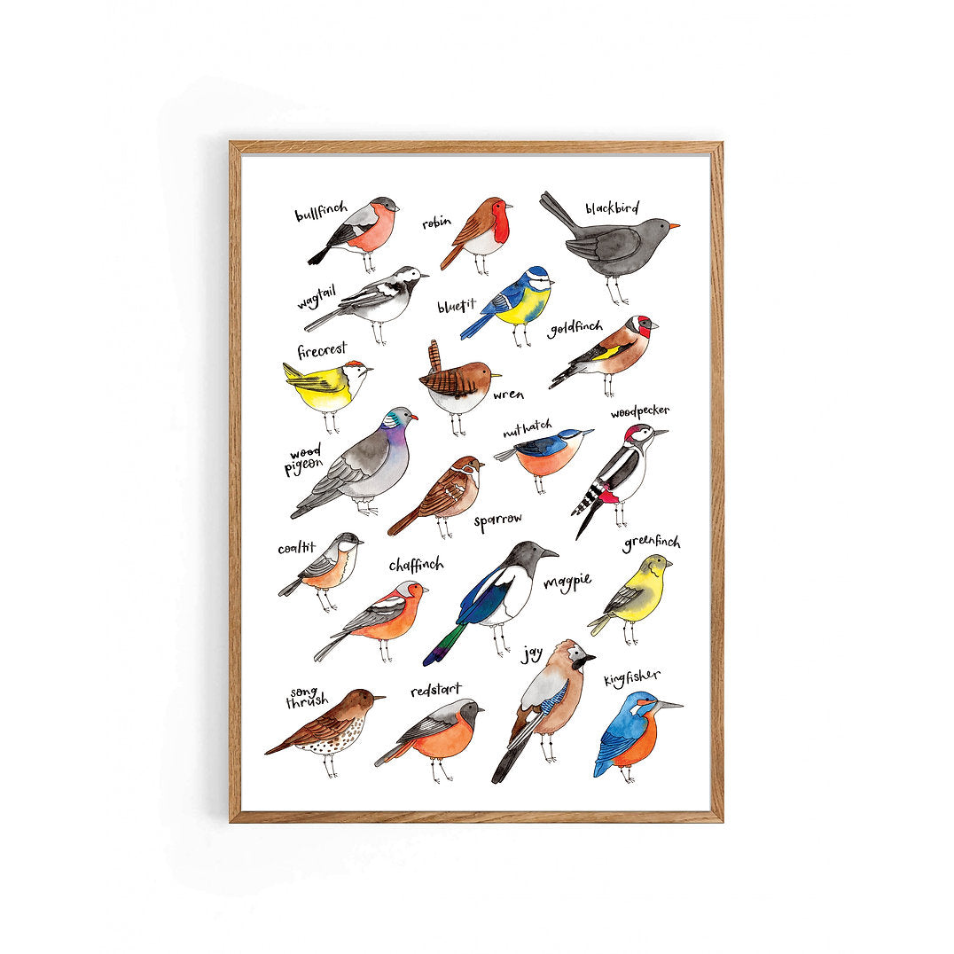 Nova & Me Birds A4 Print