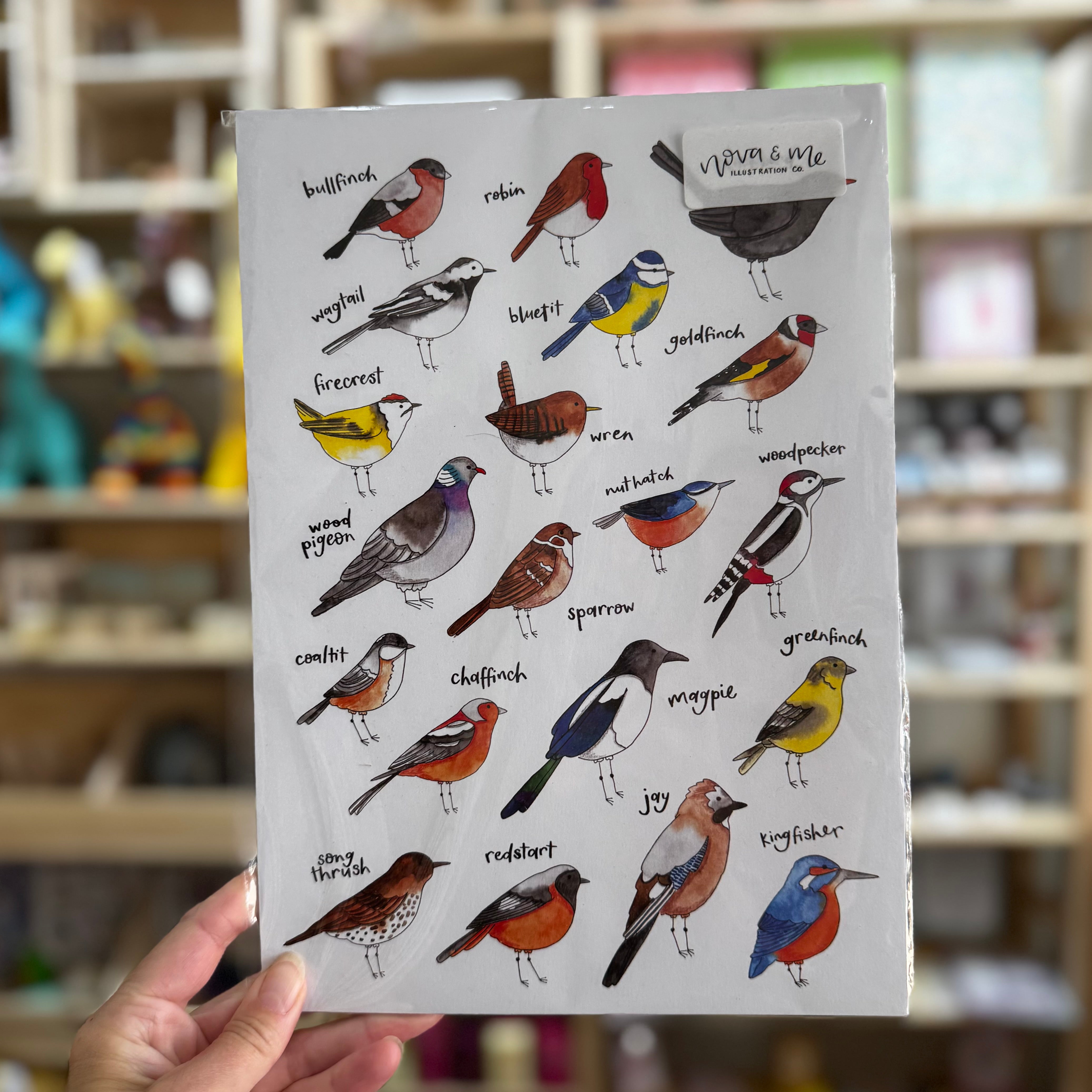 Nova & Me Birds A4 Print ayt Bibelot Leek UK Stockist
