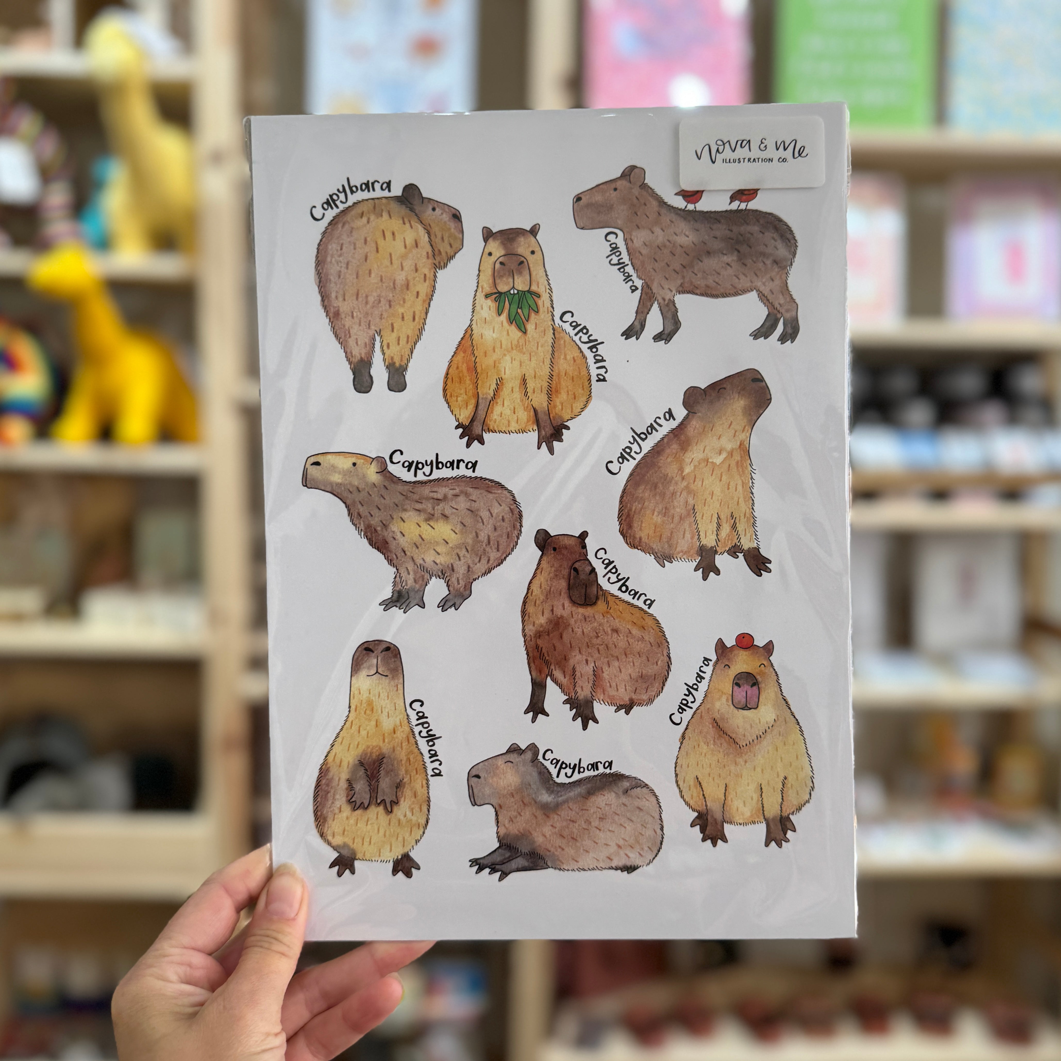 Nova & Me Capybara A4 Print at Bibelot Leek UK Stockist