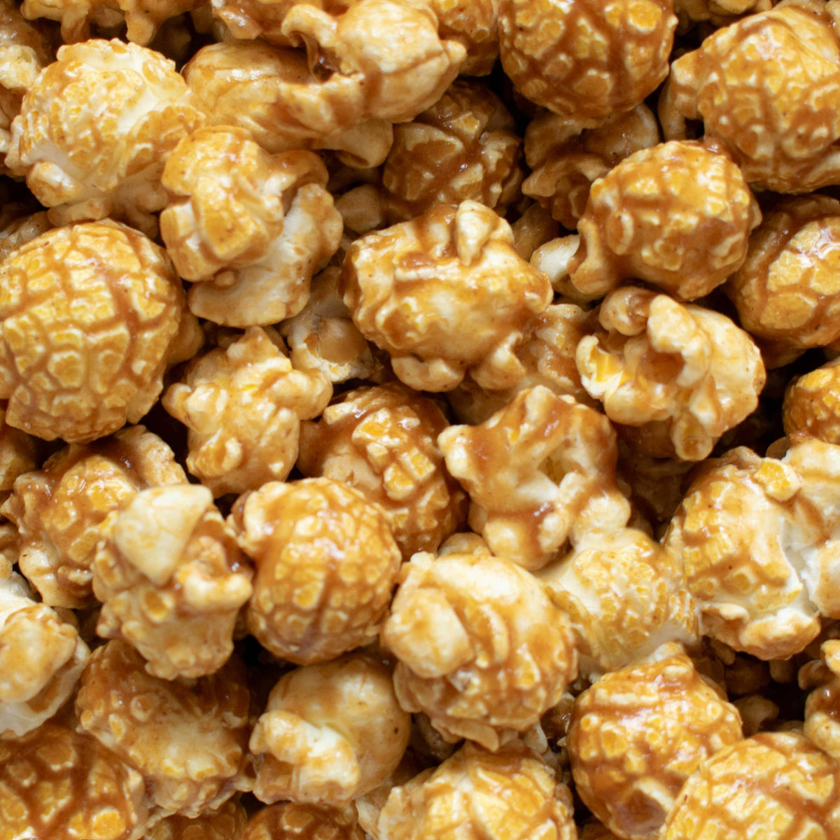Popcorn Shed Pumpkin Spice Popcorn Snack Pack at Bibelot Leek UK Stockist