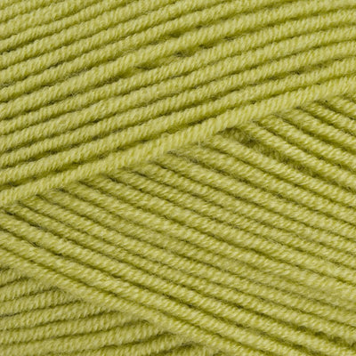 Stylecraft Bellissima DK - Luscious Leaf 7216 image