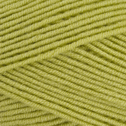 Stylecraft Bellissima DK - Luscious Leaf 7216 image