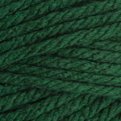 Stylecraft Special XL Super Chunky - Bottle 1009 image