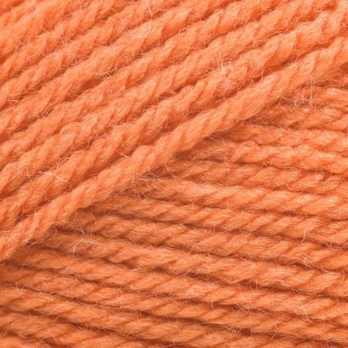 Stylecraft Special Chunky - Spice 1711 image