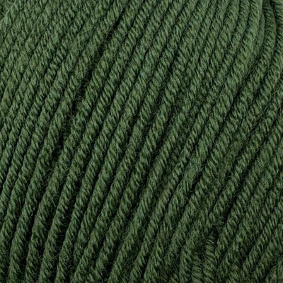 Stylecraft Bambino DK fierce fern at Bibelot Leek