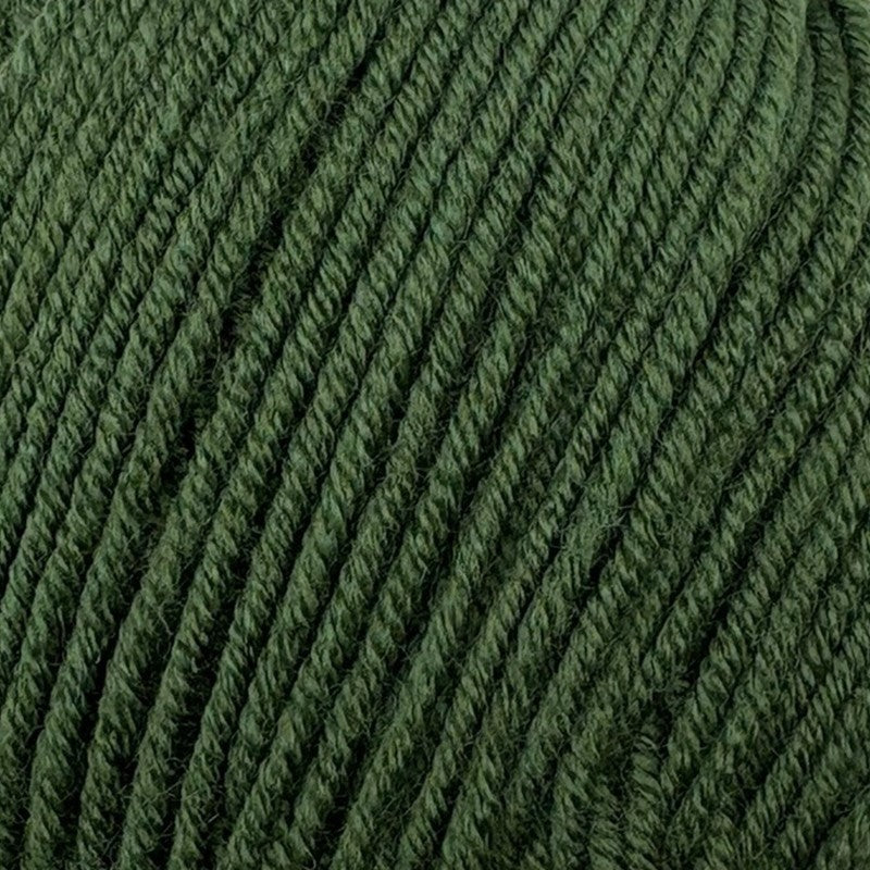 Stylecraft Bambino DK fierce fern at Bibelot Leek