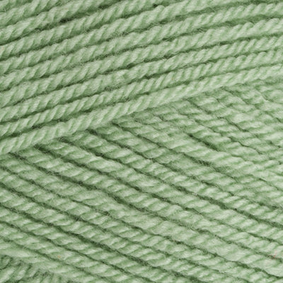 Stylecraft Special DK - Lincoln 1834 image