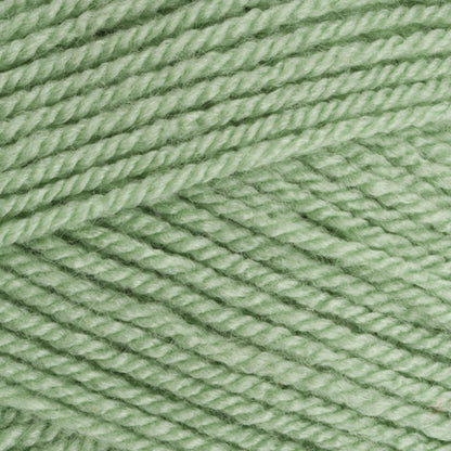 Stylecraft Special DK - Lincoln 1834 image