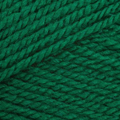 Stylecraft Special Aran - Green 1116 image