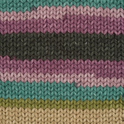 Stylecraft Merry Go Round XL - Damselfly 3017 image