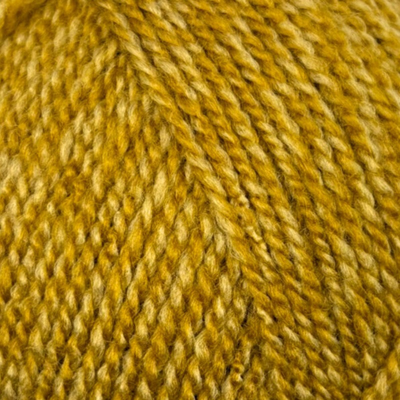 Stylecraft Special DK  honey mix