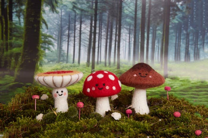 Needle Felting Toadstools Kit
