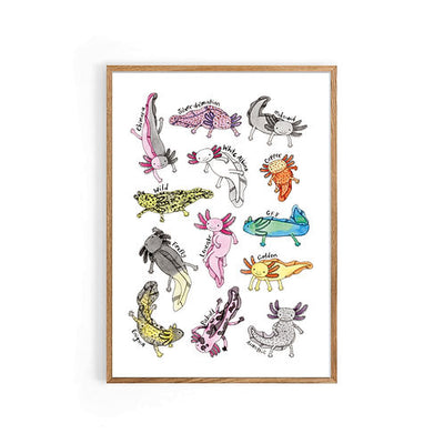 Nova & Me Axolotls A4 Print at Bibelot Leek UK Stockist