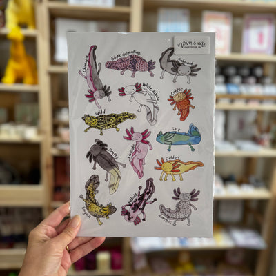 Nova & Me Axolotls A4 Print at Bibelot Leek UK Stockist