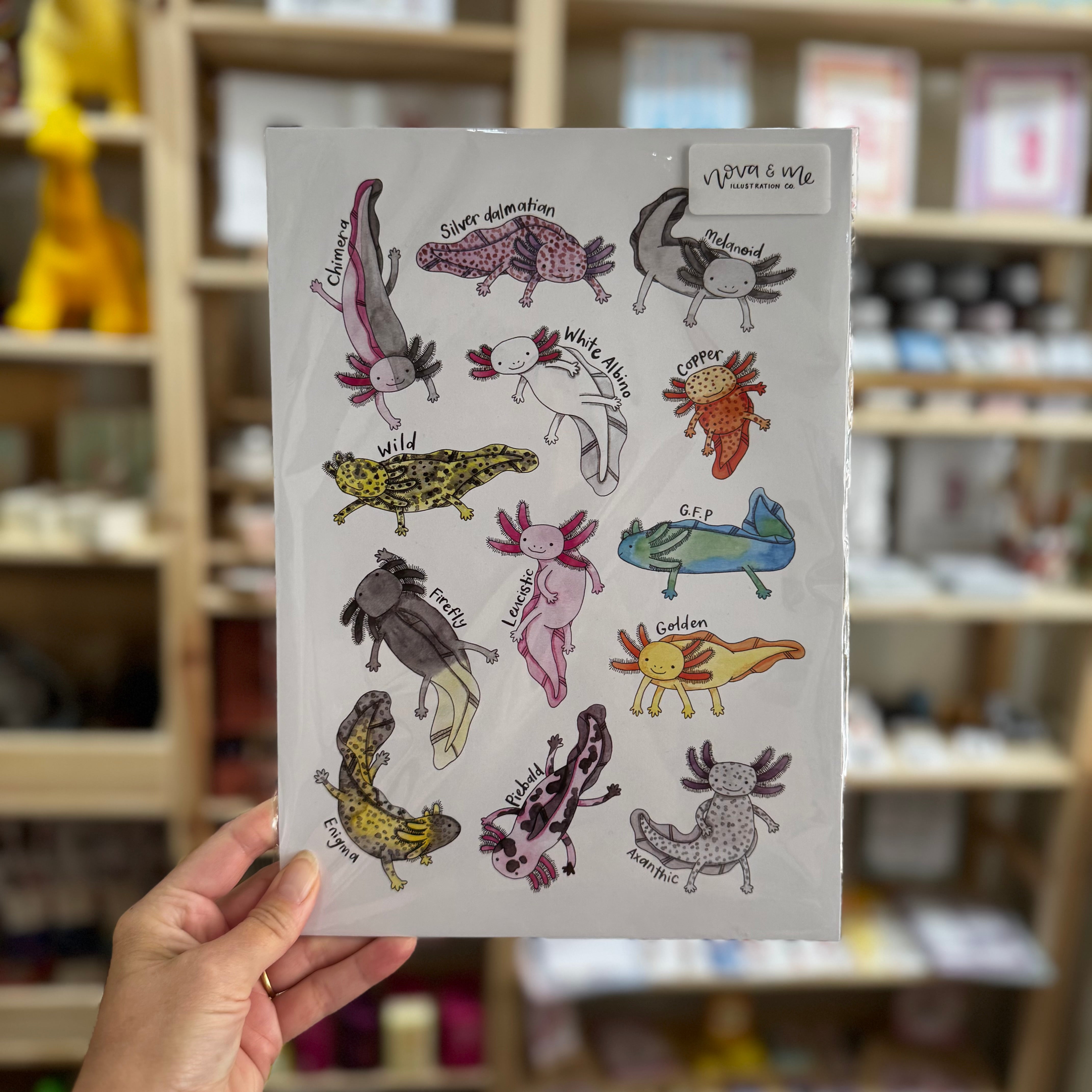 Nova & Me Axolotls A4 Print at Bibelot Leek UK Stockist