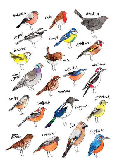 Nova & Me Birds A4 Print