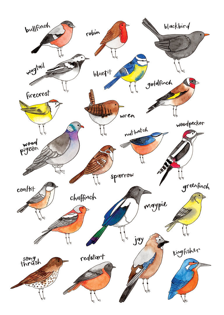 Nova & Me Birds A4 Print