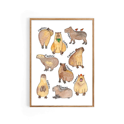 Nova & Me Capybara A4 Print at Bibelot Leek UK Stockist