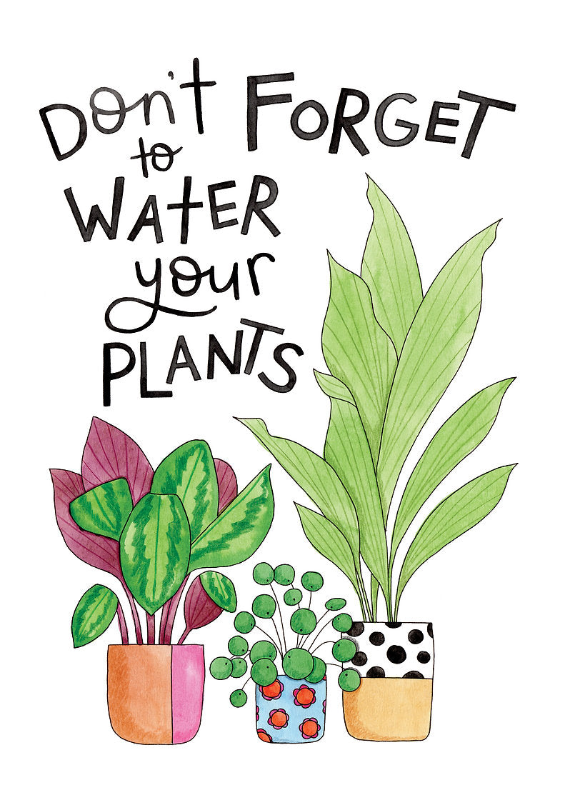 Nova & Me Don't Forget to Water Your Plants A4 Print