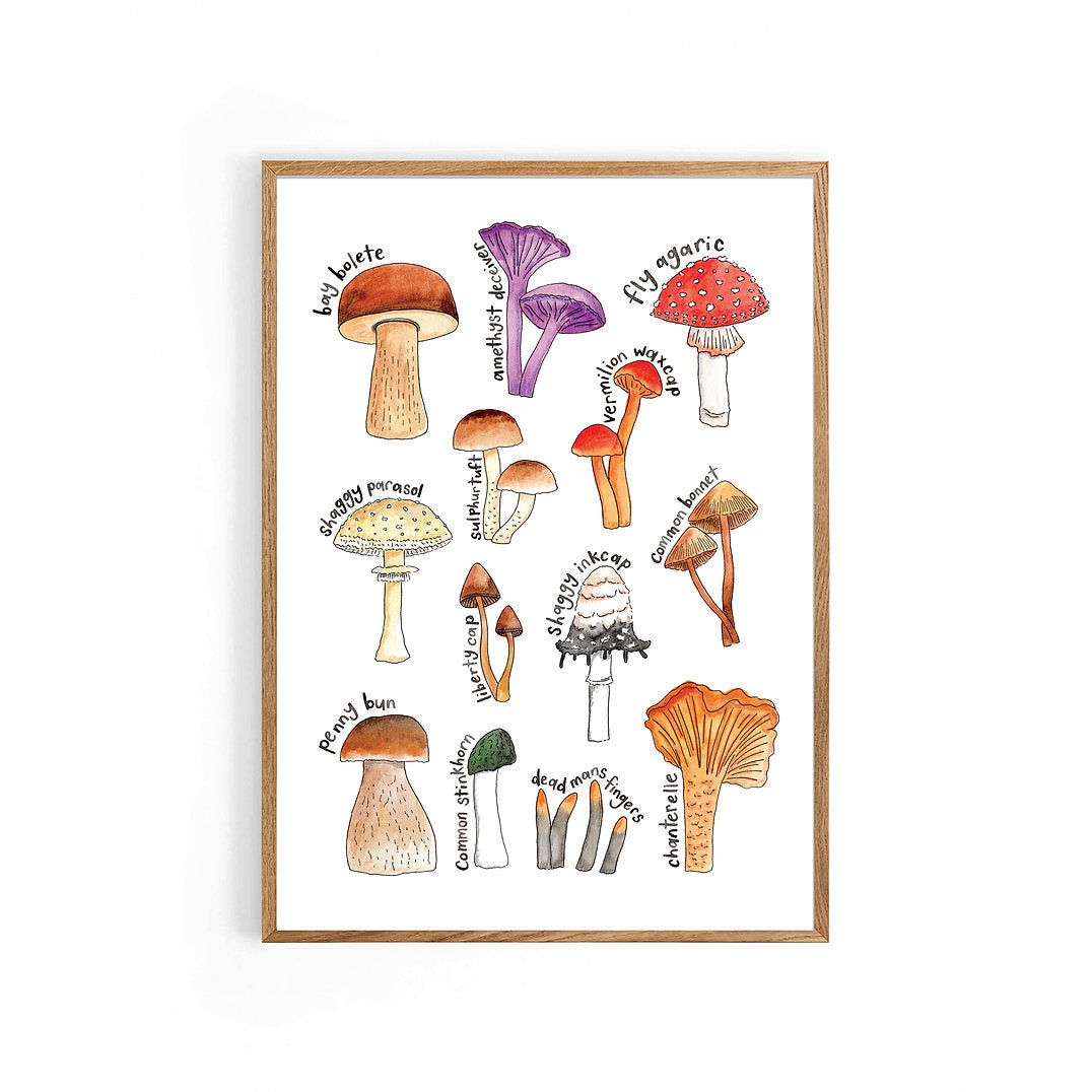 Nova & Me Mushrooms A4 Print
