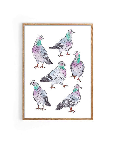 Nova & Me Pigeons A4 Print at Bibelot Leek UK Stockist