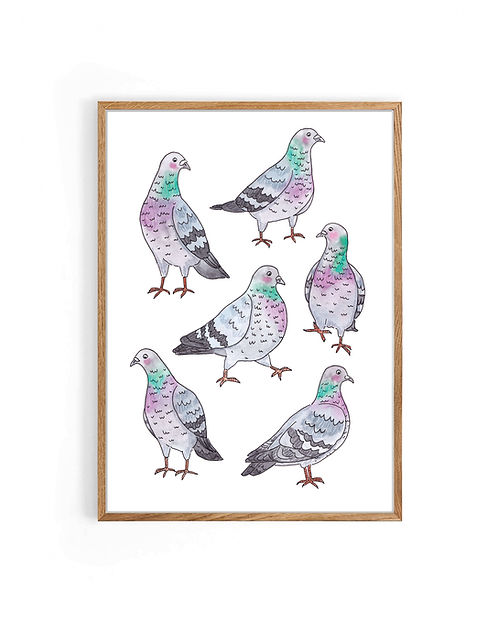 Nova & Me Pigeons A4 Print at Bibelot Leek UK Stockist