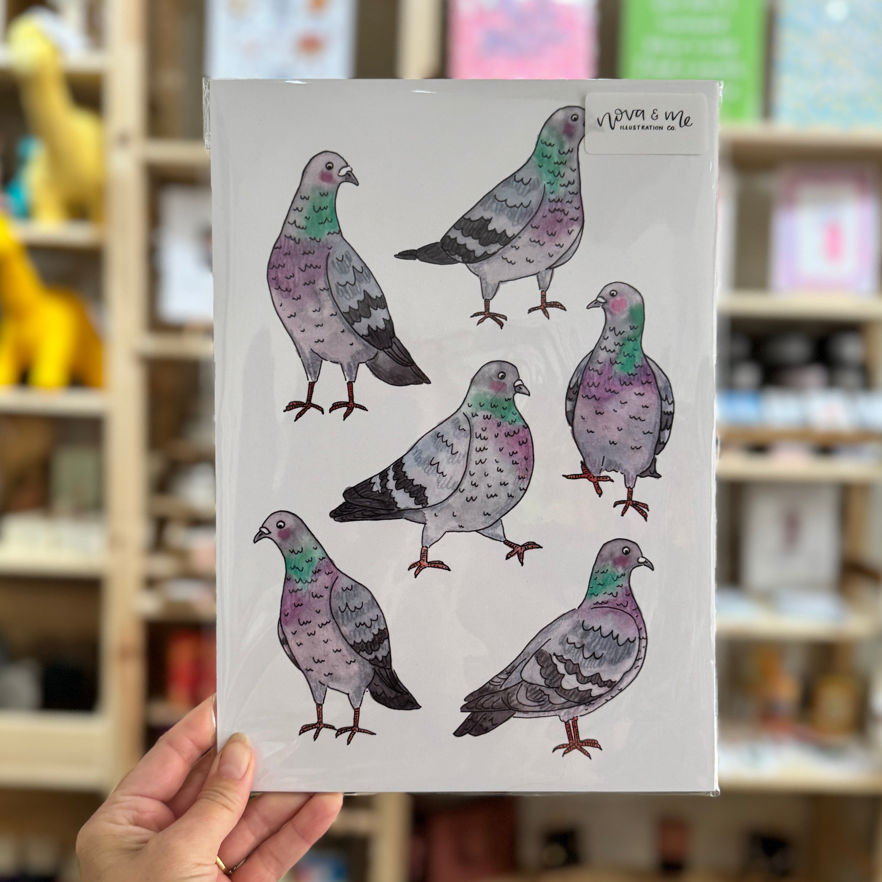 Nova & Me Pigeons A4 Print at Bibelot Leek UK Stockist