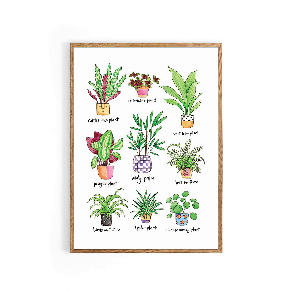 Nova & Me Plants A4 Print