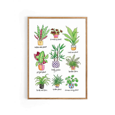 Nova & Me Plants A4 Print