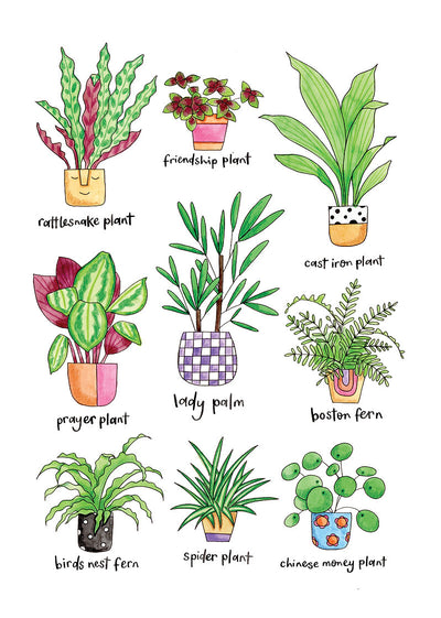 Nova & Me Plants A4 Print