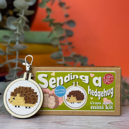 Cross stitch mini kit with hedgehog design and packaging labeled 'Sending a hedgehug' on a wooden surface.