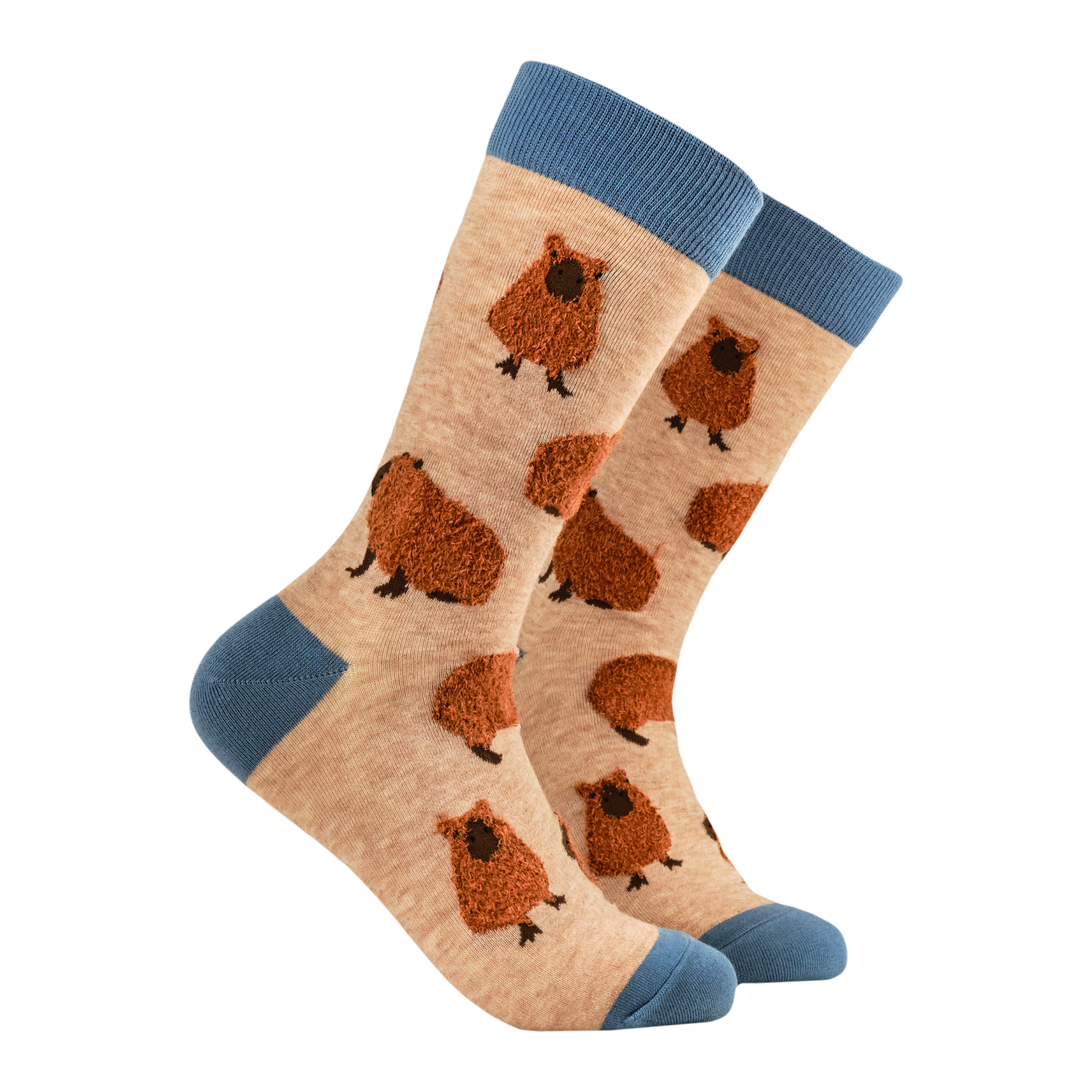 Soctopus Capybara Fluffies Socks