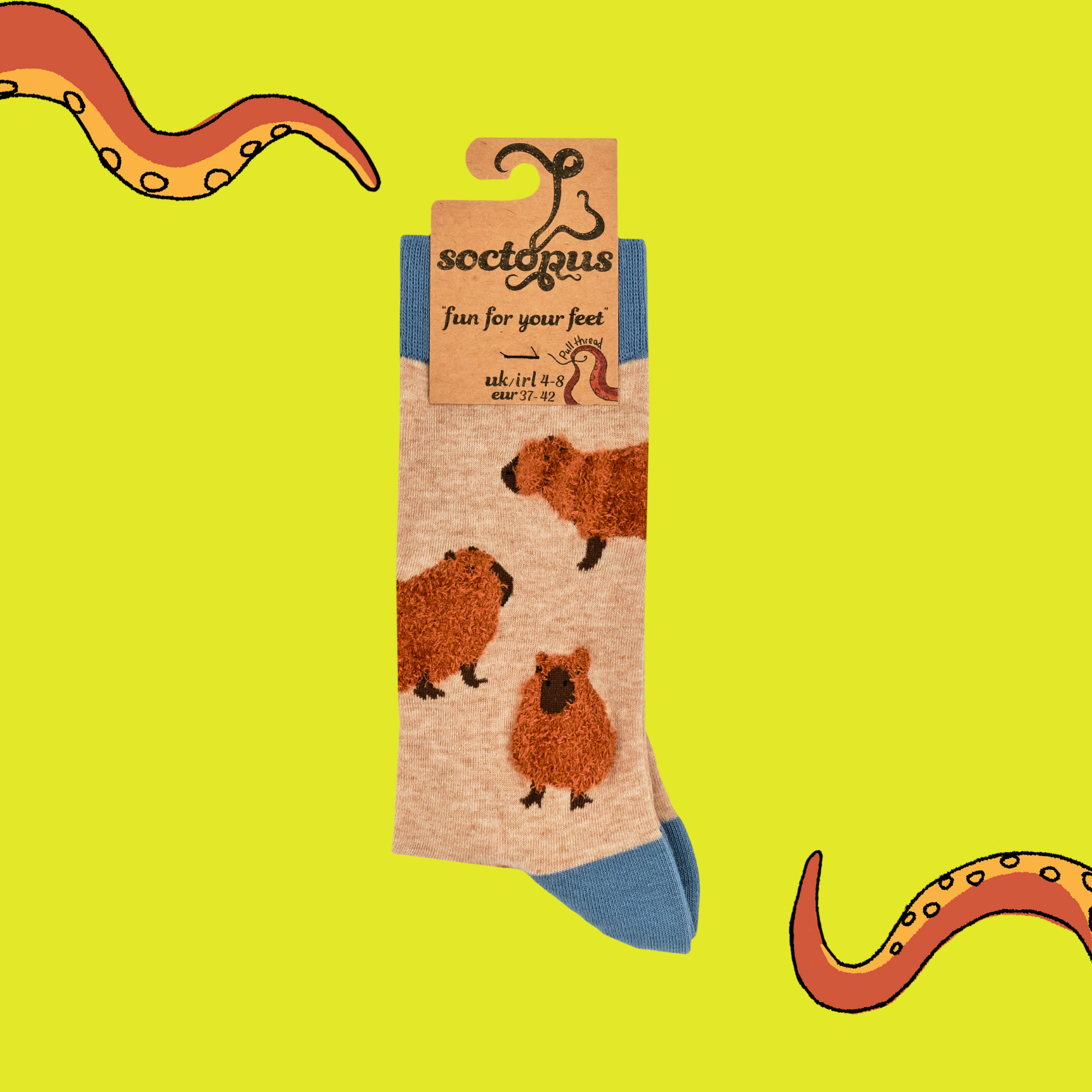 Soctopus Capybara Fluffies Socks