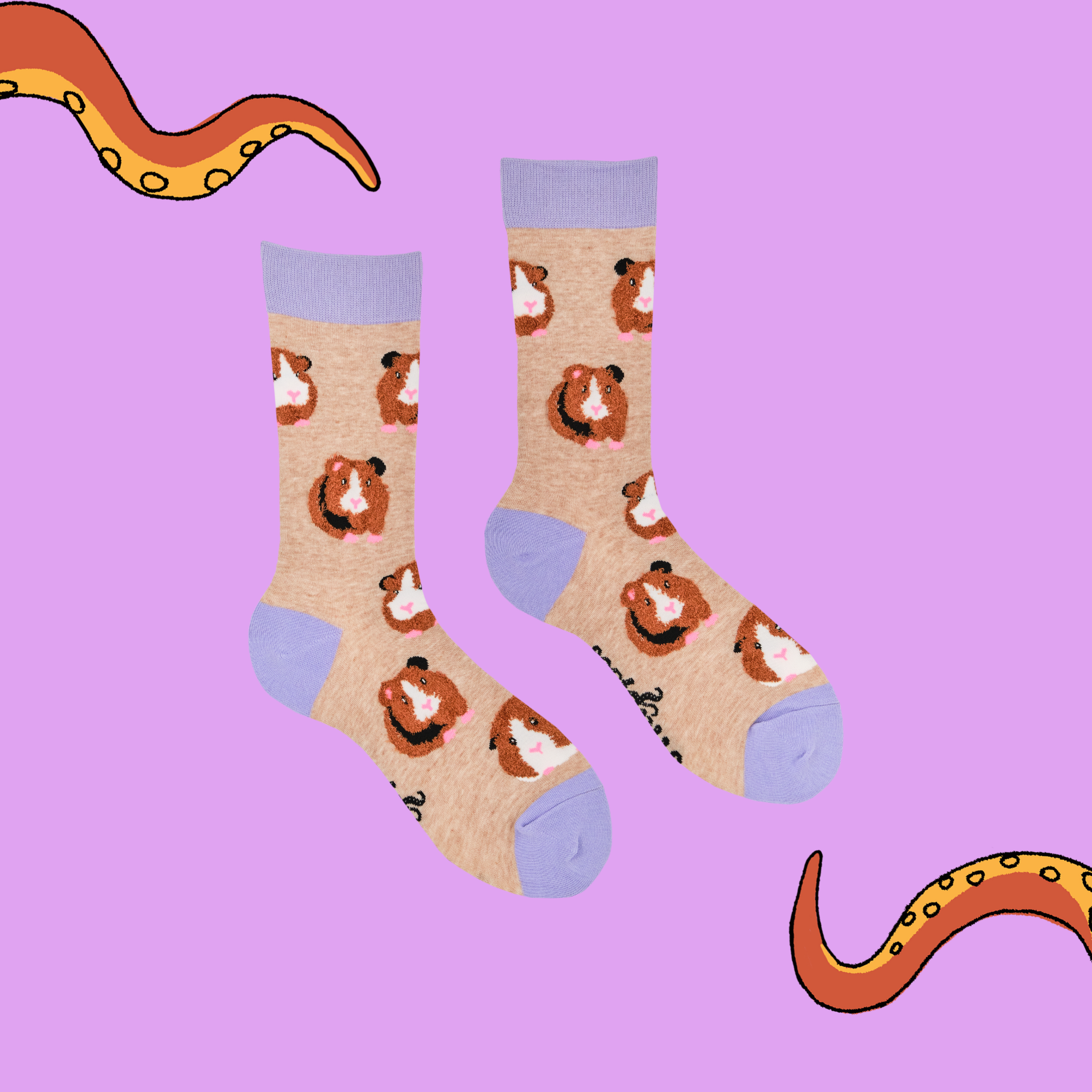 Soctopus Fluffy Guinea Pigs Socks