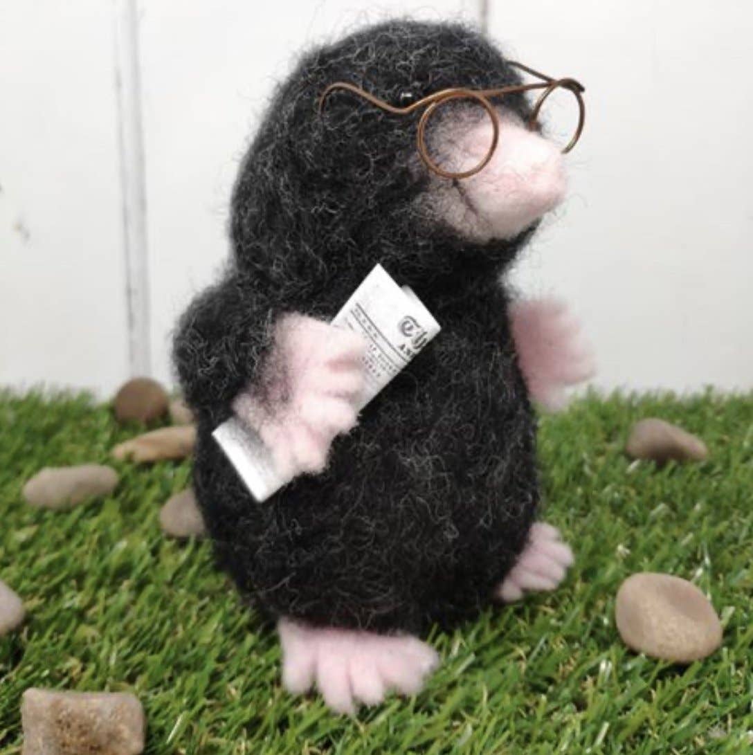 The Crafty Kit Mr Mole Needle Felting Craft Kit at Bibelot Leek