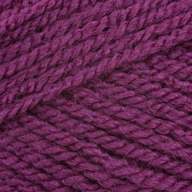 Stylecraft Special Chunky - Plum 1061 image