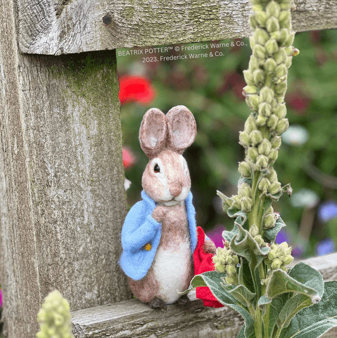 Beatrix Potter - Peter Rabbit and his Pocket Handkerchief Needle Felting Craft Kit image 3
