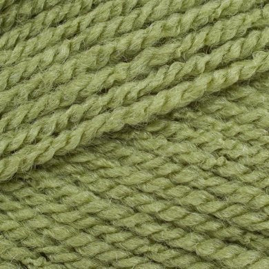 Stylecraft Special Chunky - Meadow 1065 image