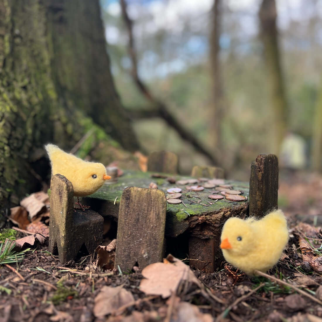 Chirpy Chicks Needle Felting Craft Kit image 3