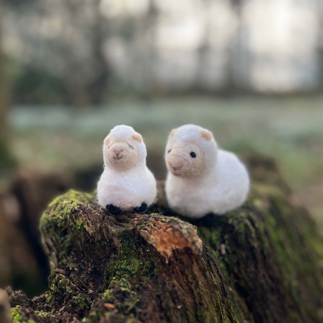 Sheep Family Needle Felt Craft Kit image 2