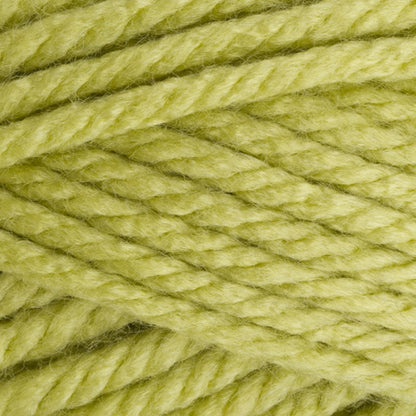 Stylecraft Special XL Super Chunky - Pistachio 1822 image