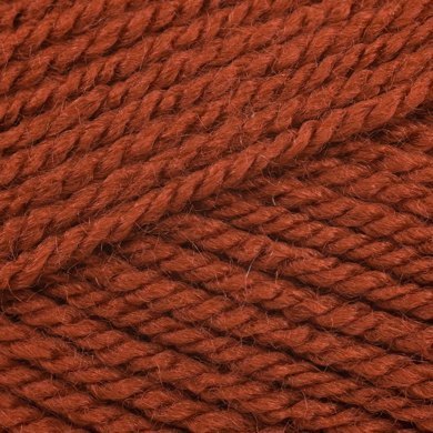 Stylecraft Special Aran - Copper 1029 image