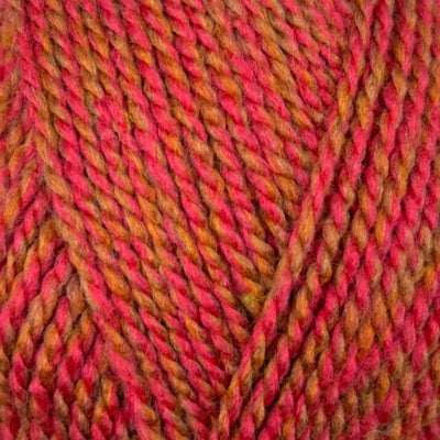 Stylecraft Highland Heathers DK rowanberry at Bibelot Leek