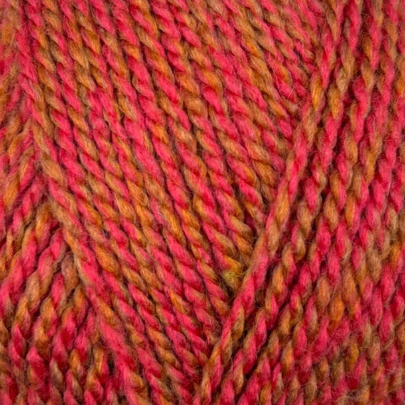 Stylecraft Highland Heathers DK rowanberry at Bibelot Leek